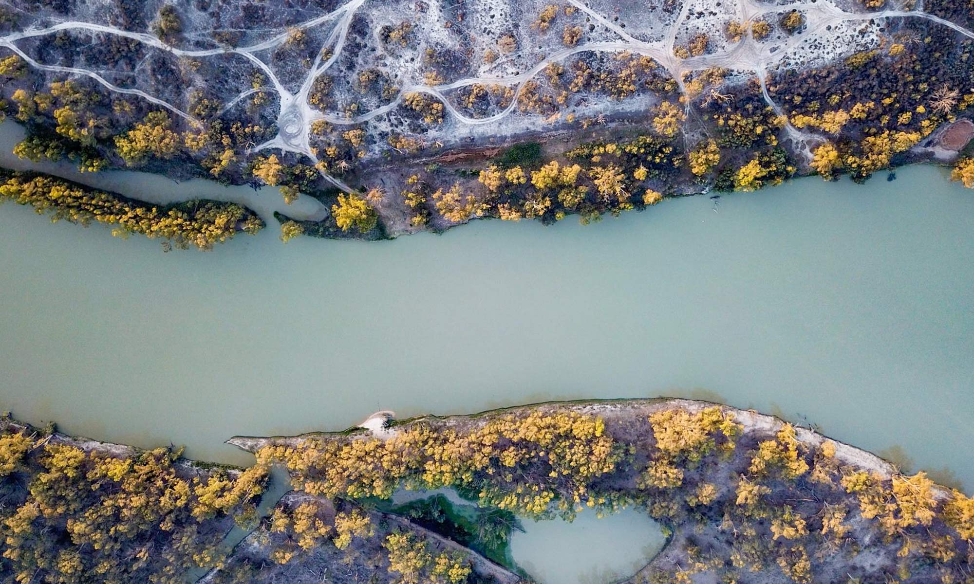 River Murray water ‘should be returned for long-term health'